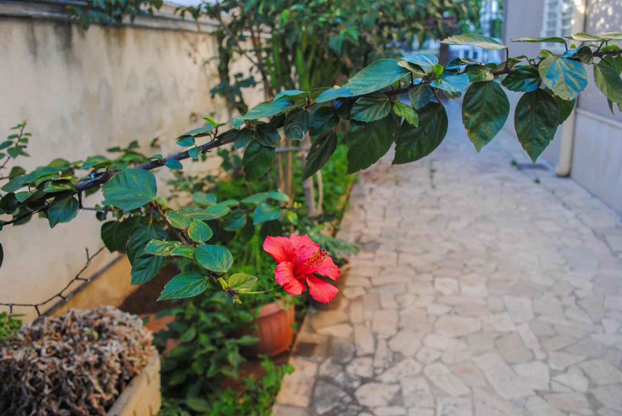 Villa Magnolia Con Giardino Bari Exterior photo